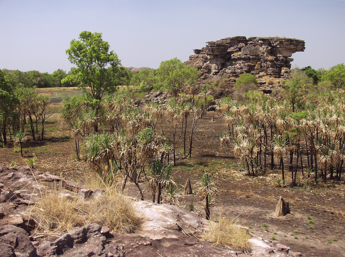 Kakadu, изображение ландшафта.