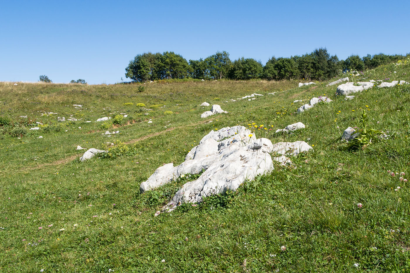 Азишский перевал, image of landscape/habitat.