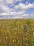 г. Орёл, image of landscape/habitat.