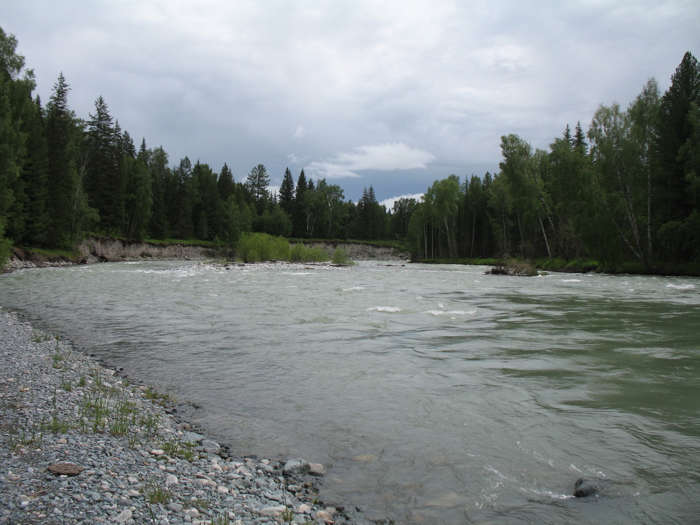 Белая Берель, image of landscape/habitat.