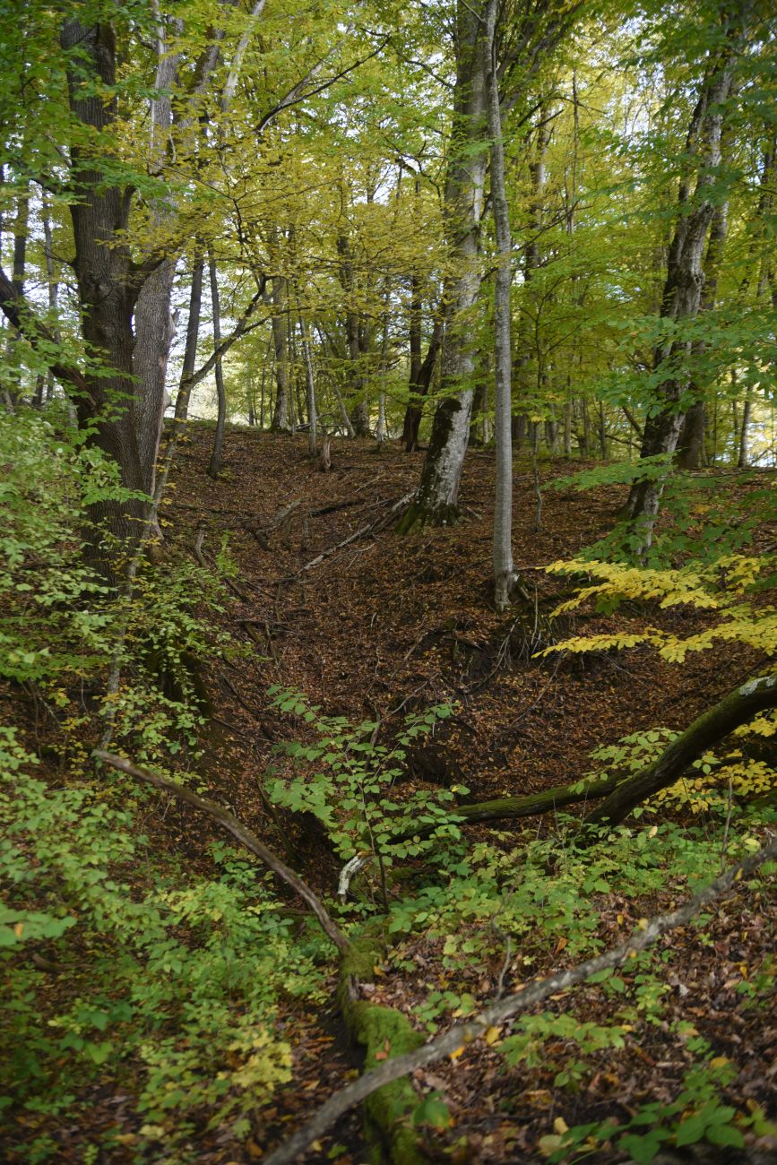 Окрестности пещеры Порошковая, изображение ландшафта.