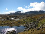 Finse, image of landscape/habitat.