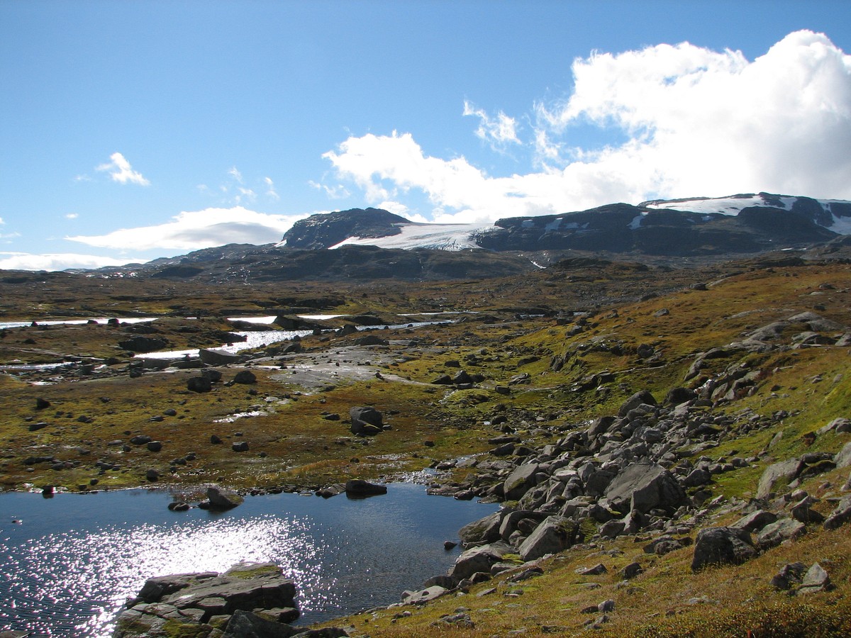 Finse, image of landscape/habitat.