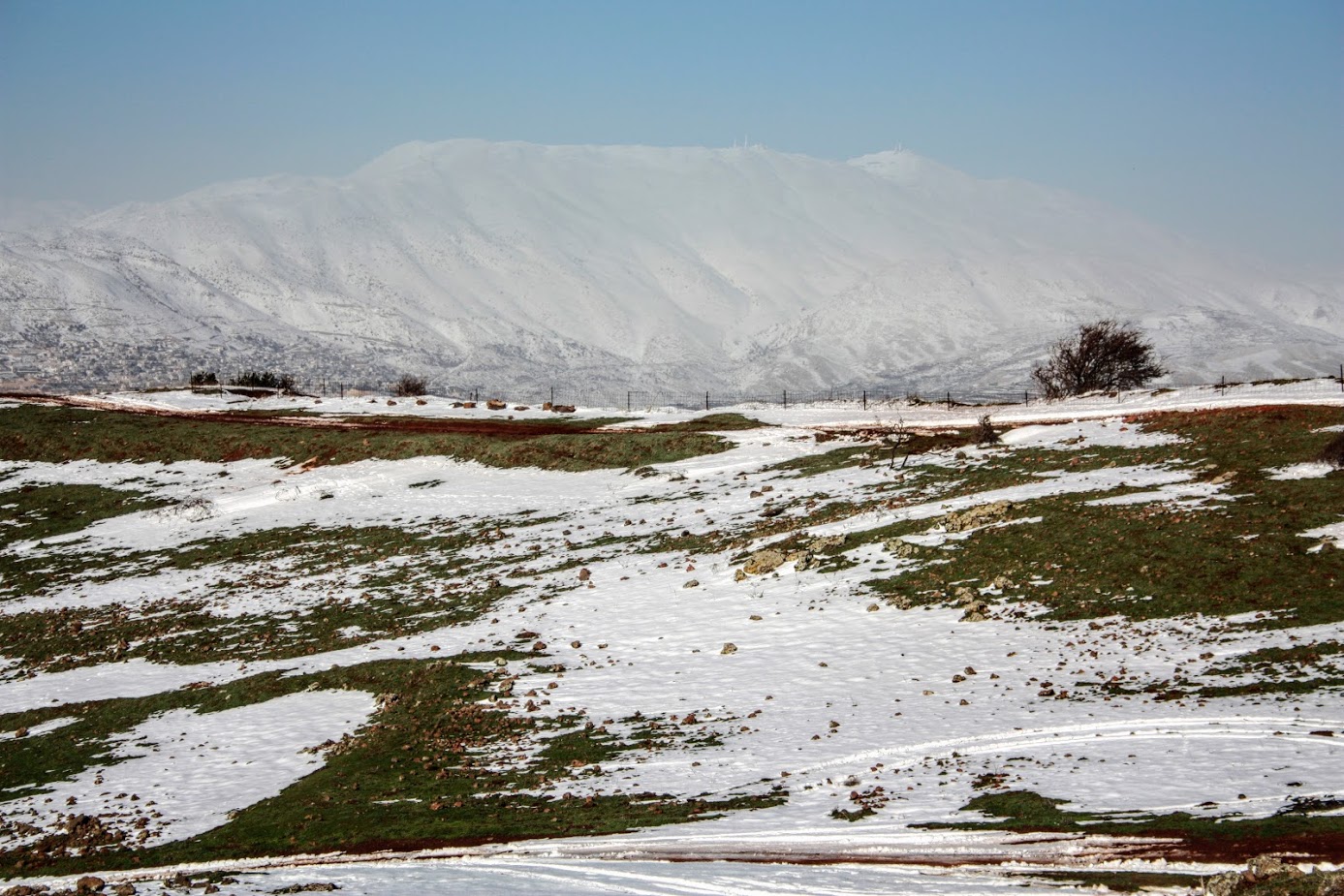 Голанские высоты, image of landscape/habitat.