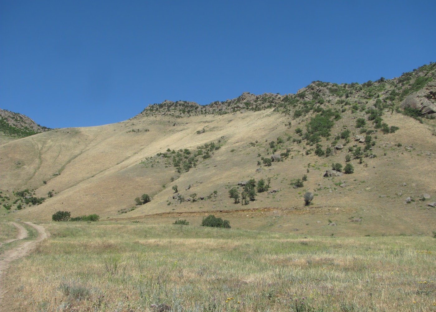 Хребет Нарат-Тюбе, image of landscape/habitat.