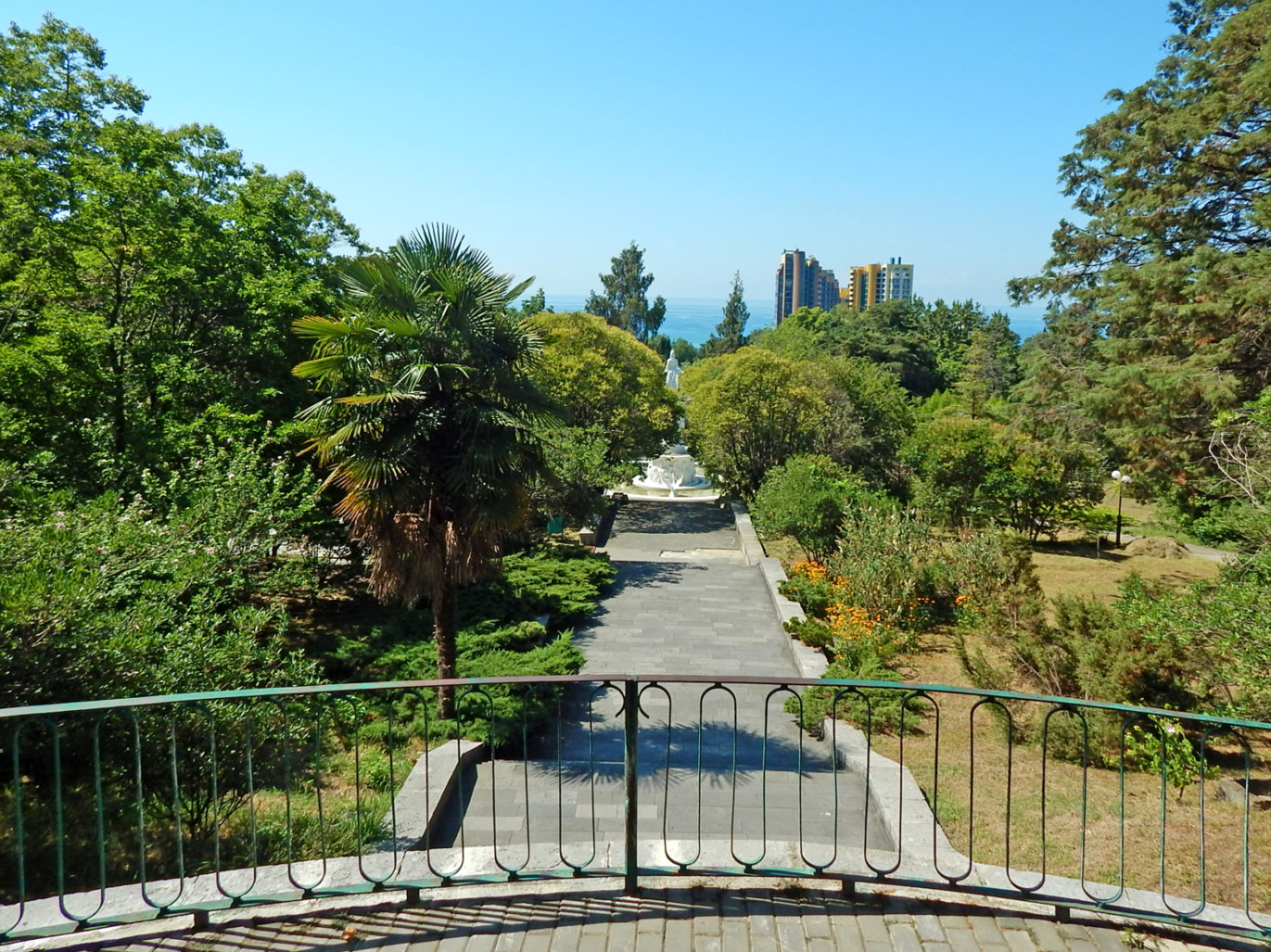 Сочинский Дендрарий, image of landscape/habitat.