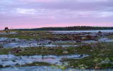 Image of landscape