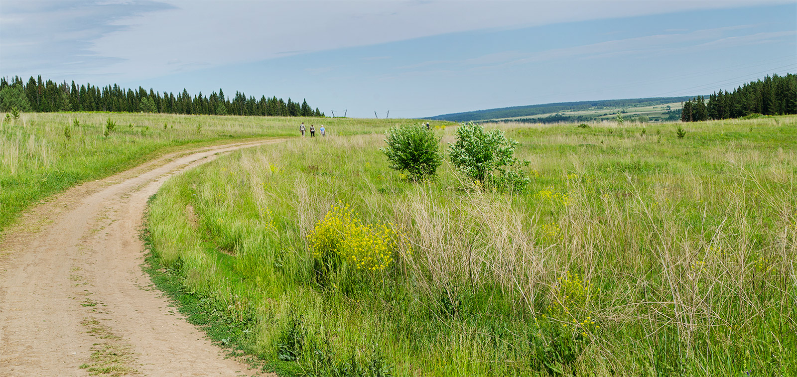 Окрестности Осинцово, image of landscape/habitat.