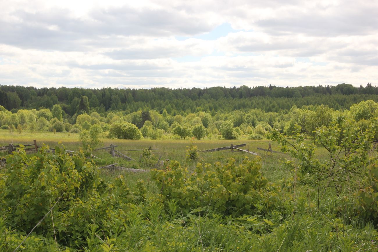 Окрестности Титово, image of landscape/habitat.