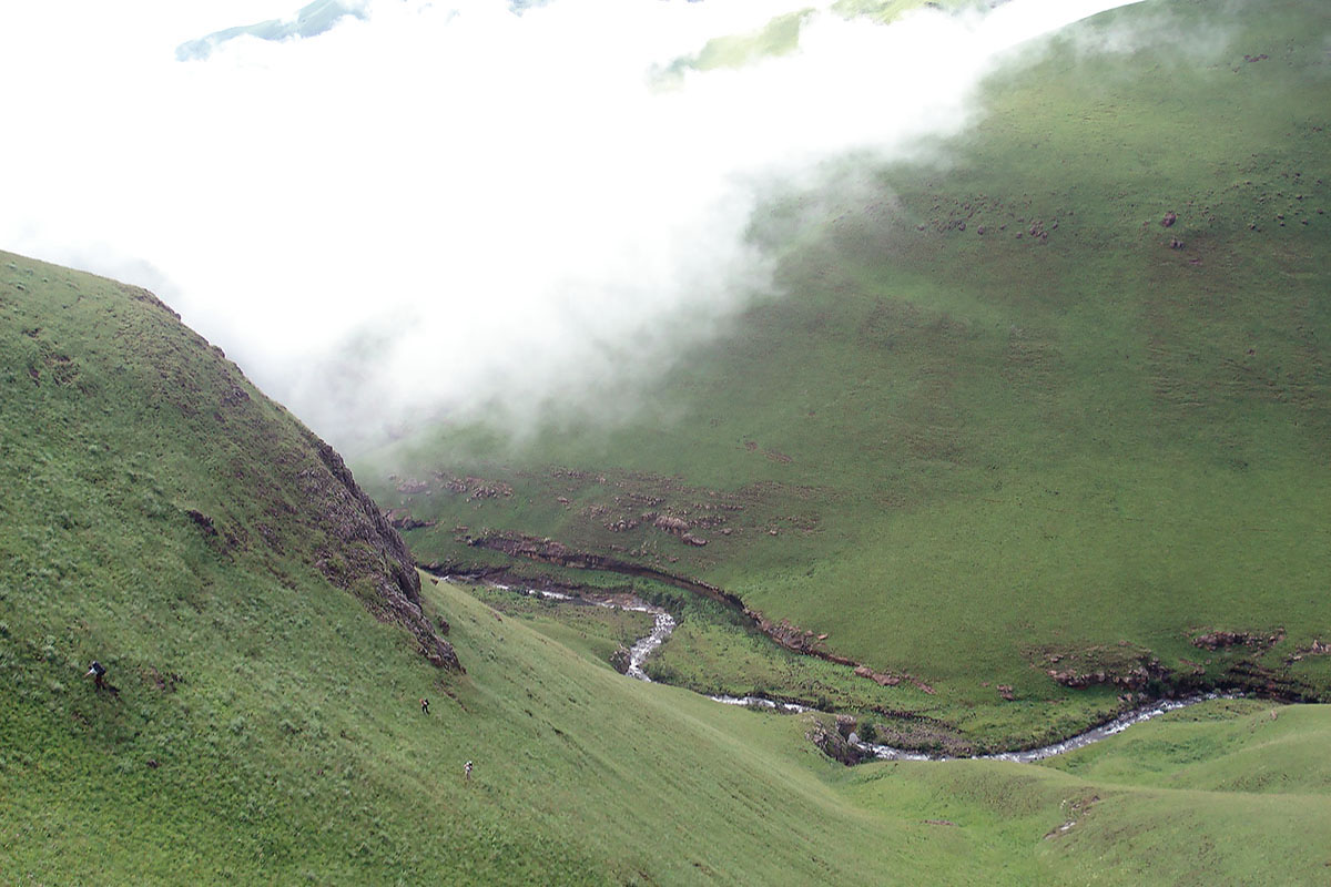 Драконовы горы, image of landscape/habitat.