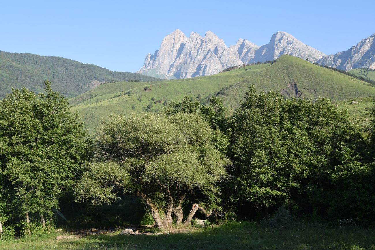 Окрестности Тхаба-Ерды, image of landscape/habitat.