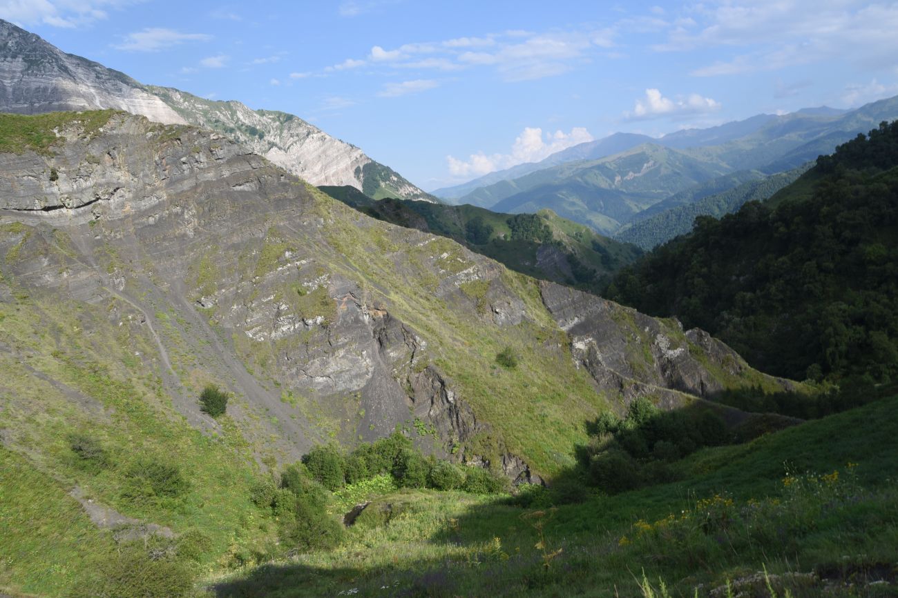 Урочище Цеси, image of landscape/habitat.