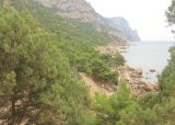 Урочище Айязьма, image of landscape/habitat.