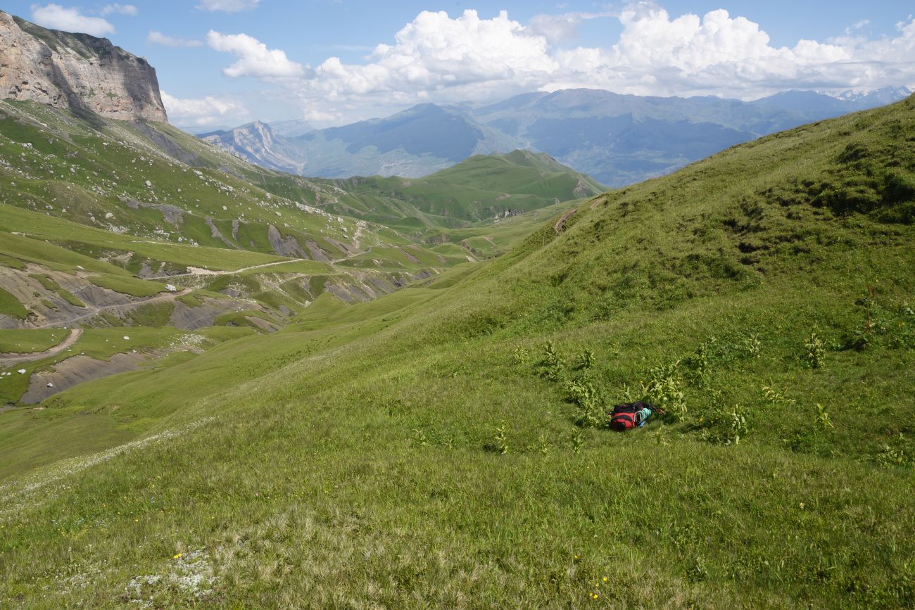Цумандинский перевал, image of landscape/habitat.