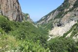 Хазнидон, image of landscape/habitat.
