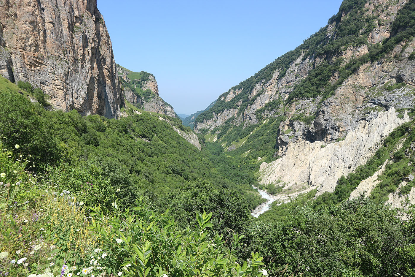 Хазнидон, image of landscape/habitat.