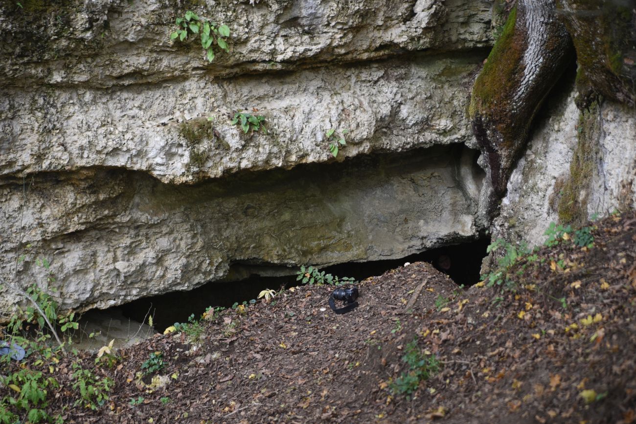Окрестности пещеры Порошковая, изображение ландшафта.