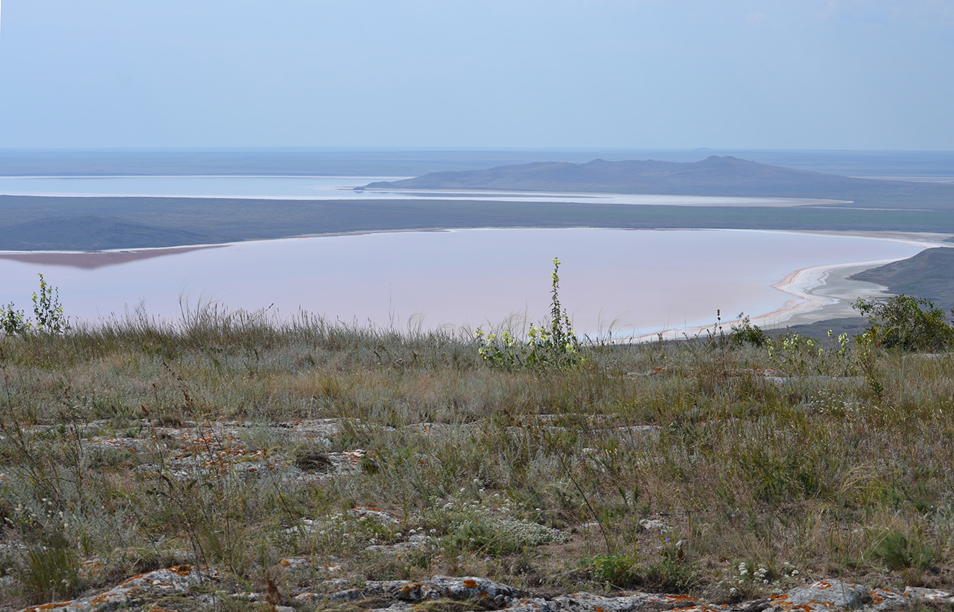 Опук, image of landscape/habitat.