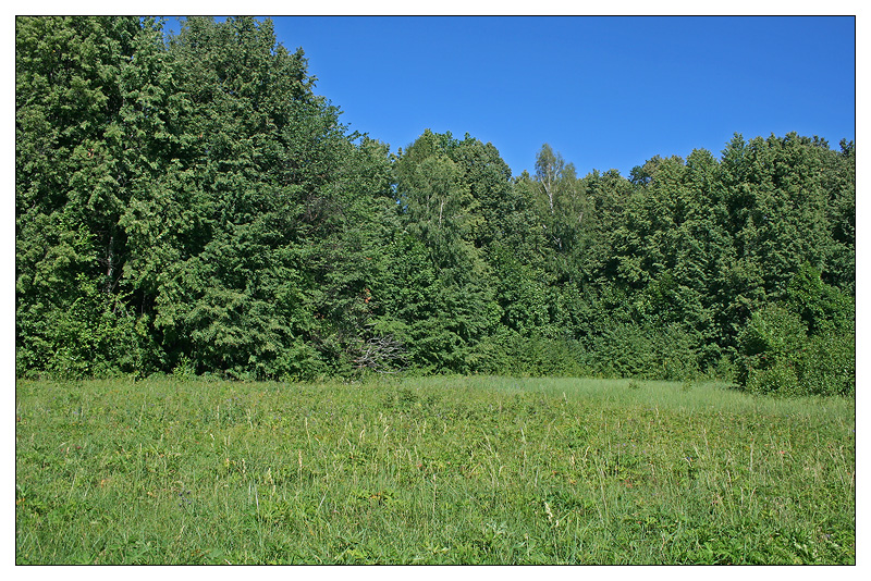 Саралы, image of landscape/habitat.