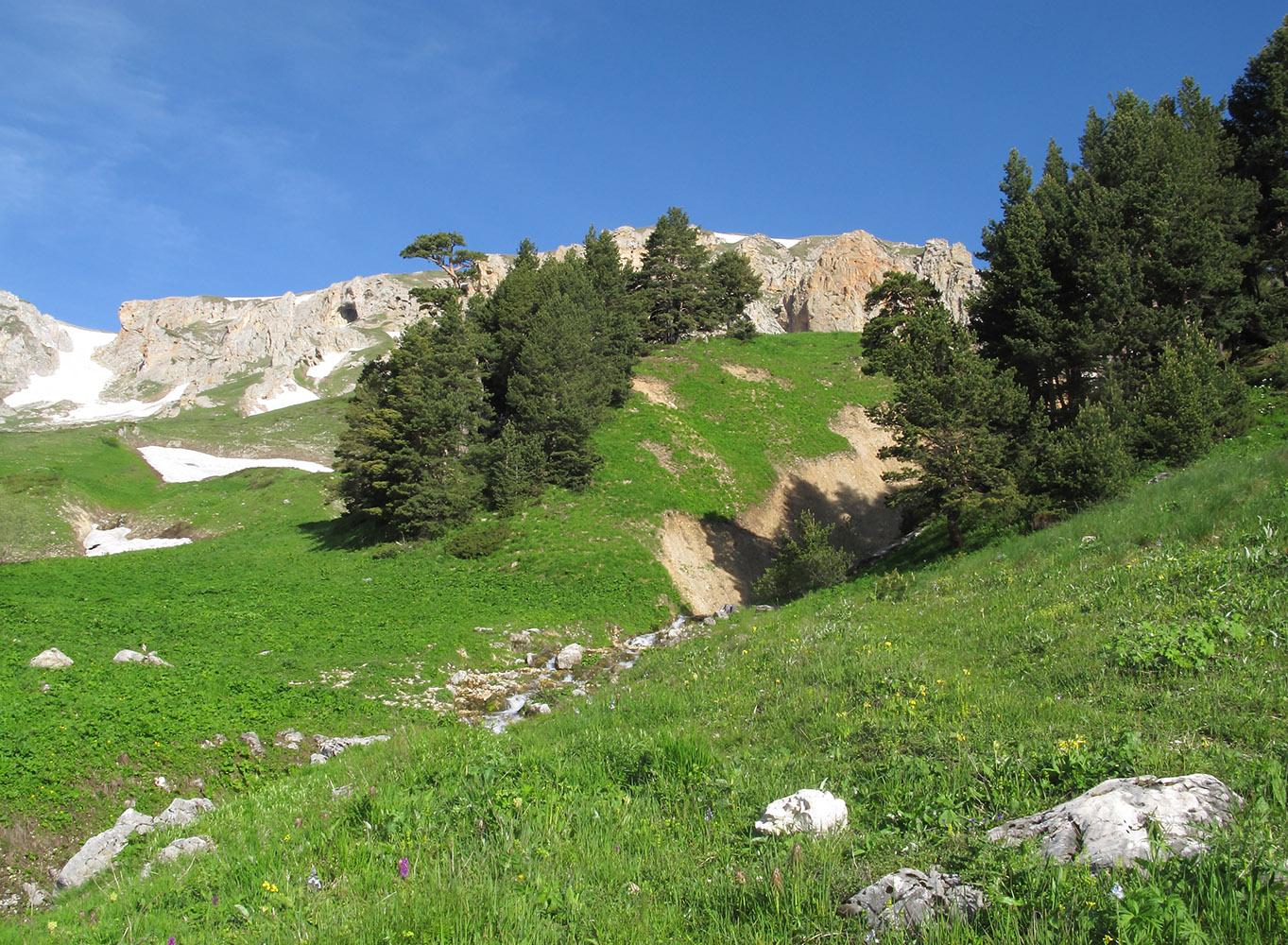 Ручей Гремячий и окрестности, image of landscape/habitat.