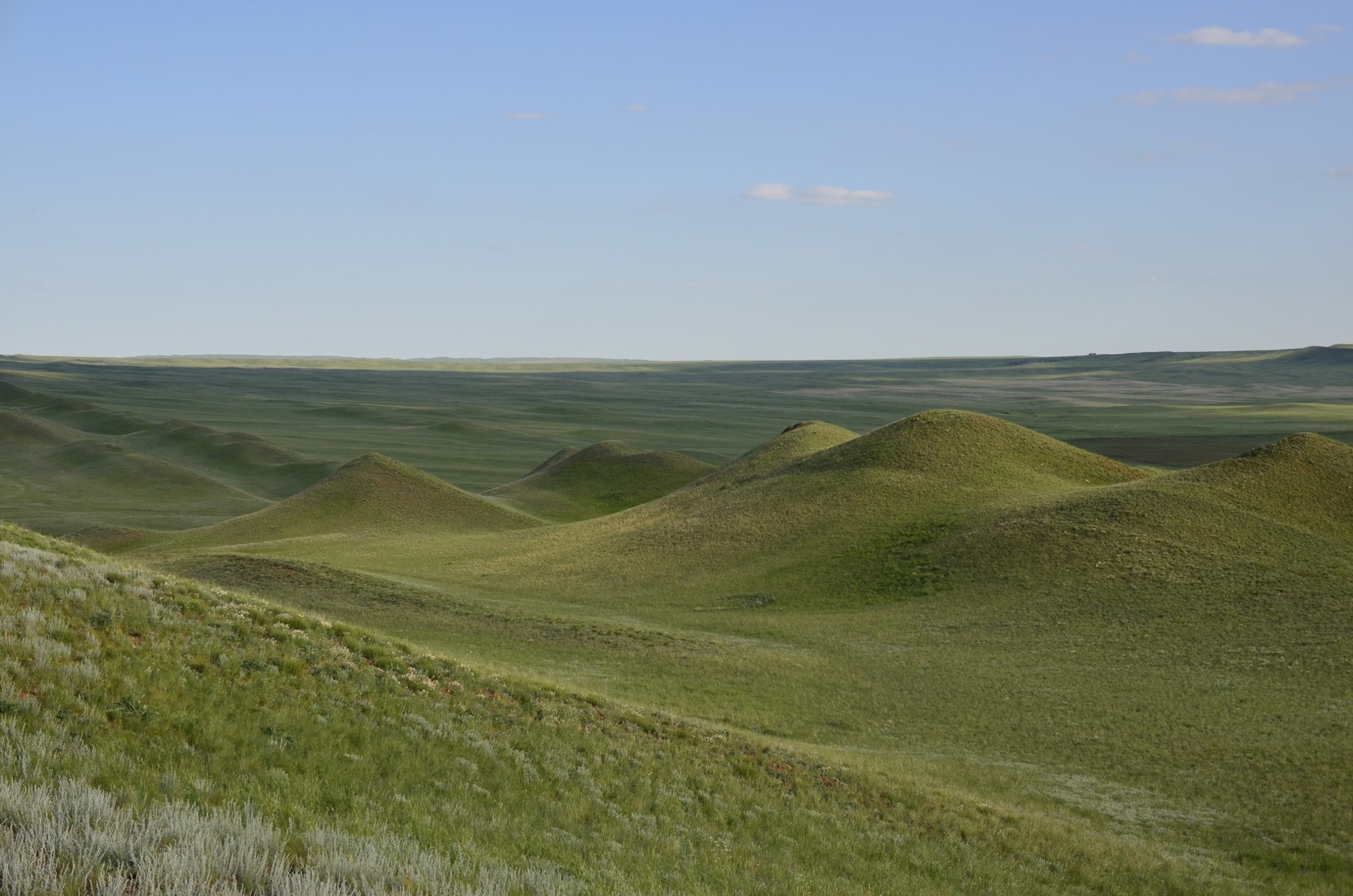 Кзыладырское карстовое поле, изображение ландшафта.