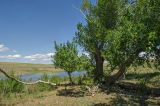 Image of landscape
