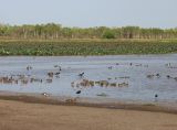 Kakadu, image of landscape/habitat.