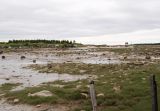 Image of landscape