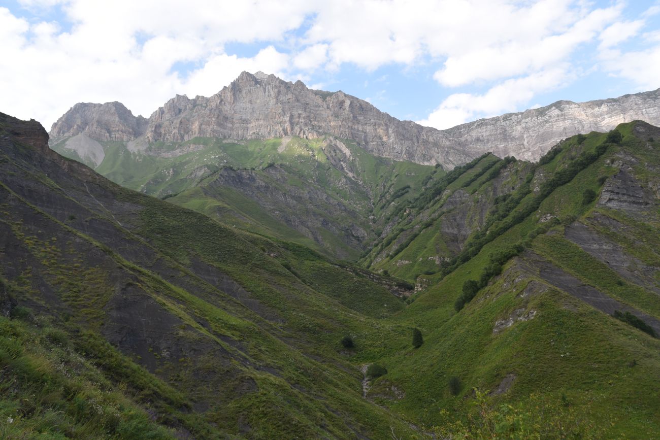 Гора Дайхох, image of landscape/habitat.