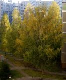 Девятовка, image of landscape/habitat.