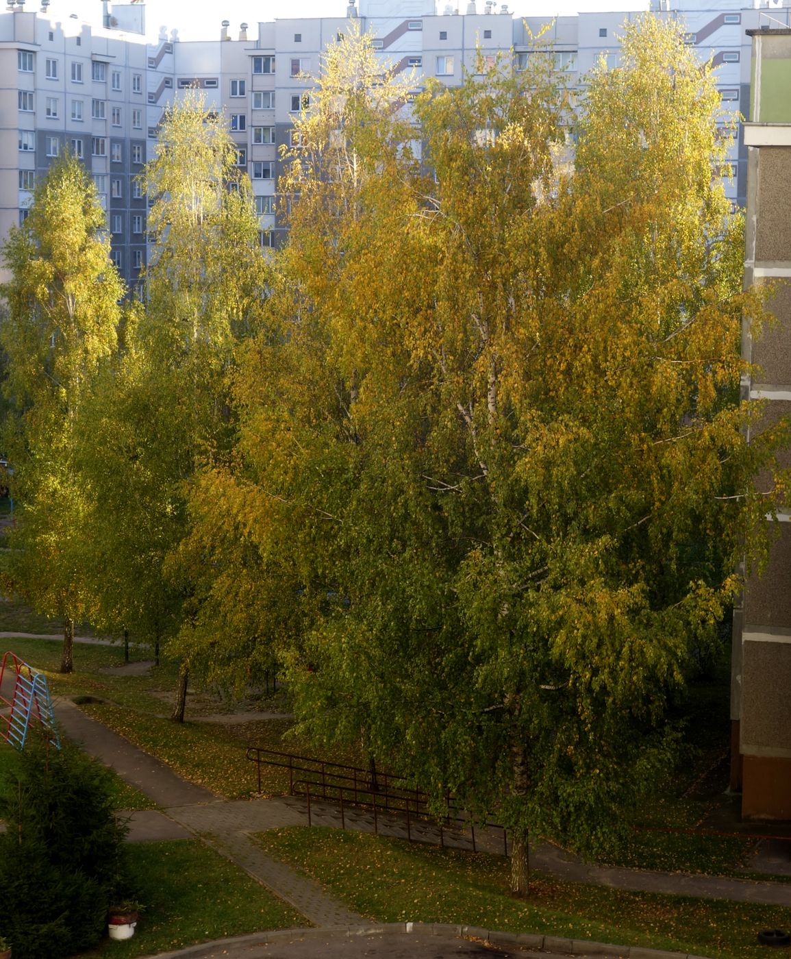 Девятовка, image of landscape/habitat.