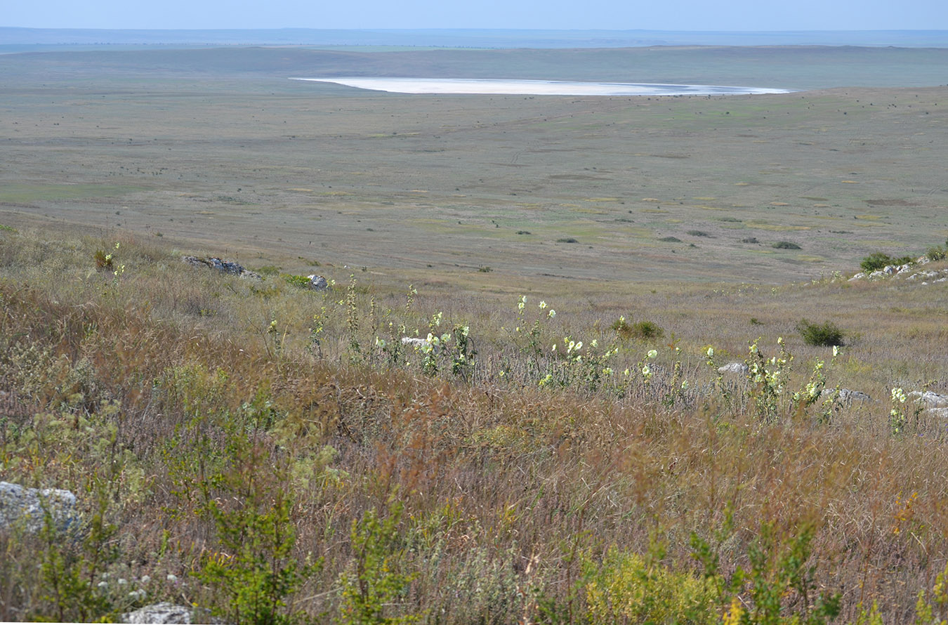 Опук, image of landscape/habitat.