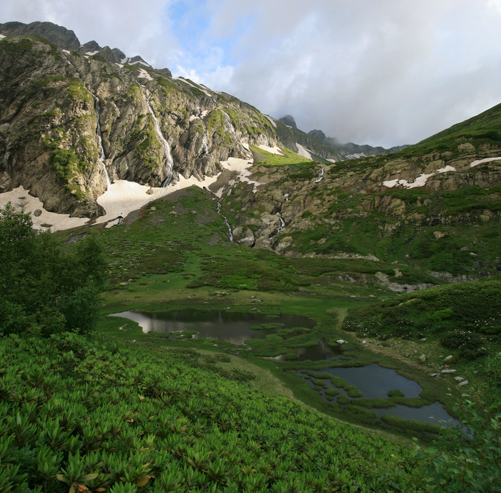 Долина реки Киша, image of landscape/habitat.