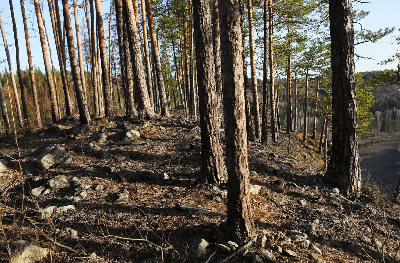 Камень Ростун и его окрестности, image of landscape/habitat.