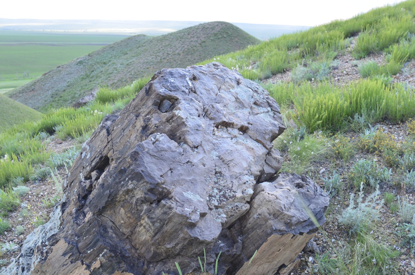 Кзыладырское карстовое поле, image of landscape/habitat.