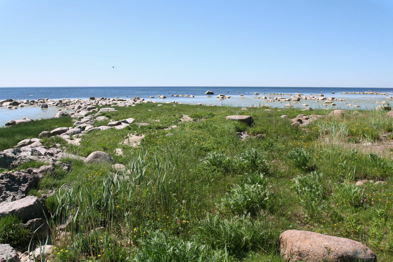 Шепелёвский маяк, image of landscape/habitat.