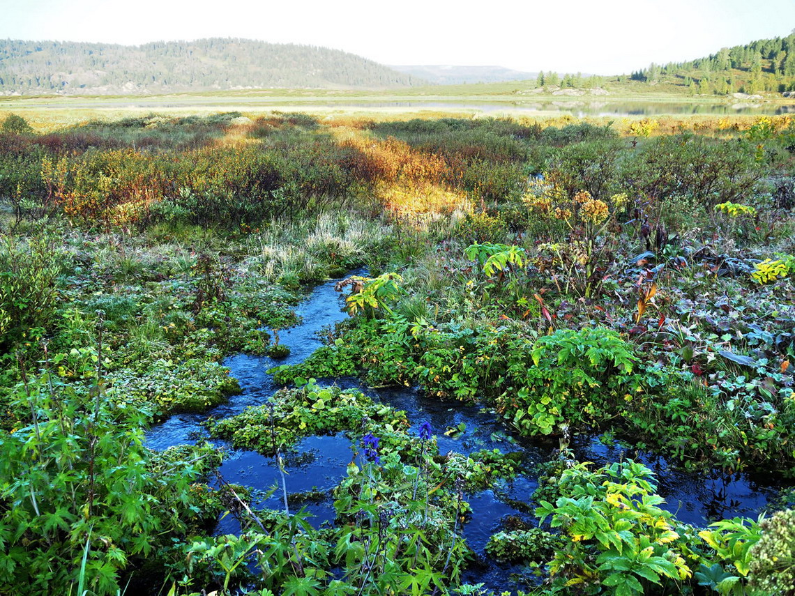 Чёрное озеро, image of landscape/habitat.