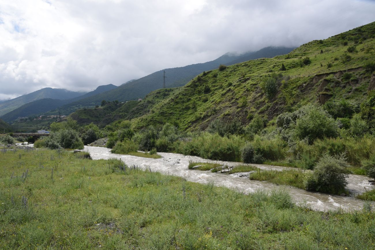 Окрестности Пхамат, image of landscape/habitat.