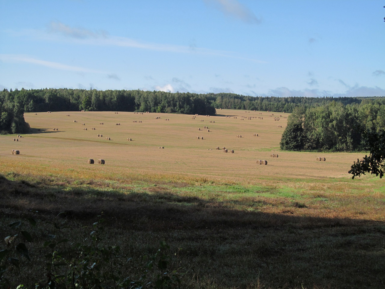 Рутковский пригорок, image of landscape/habitat.