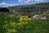 Image of landscape