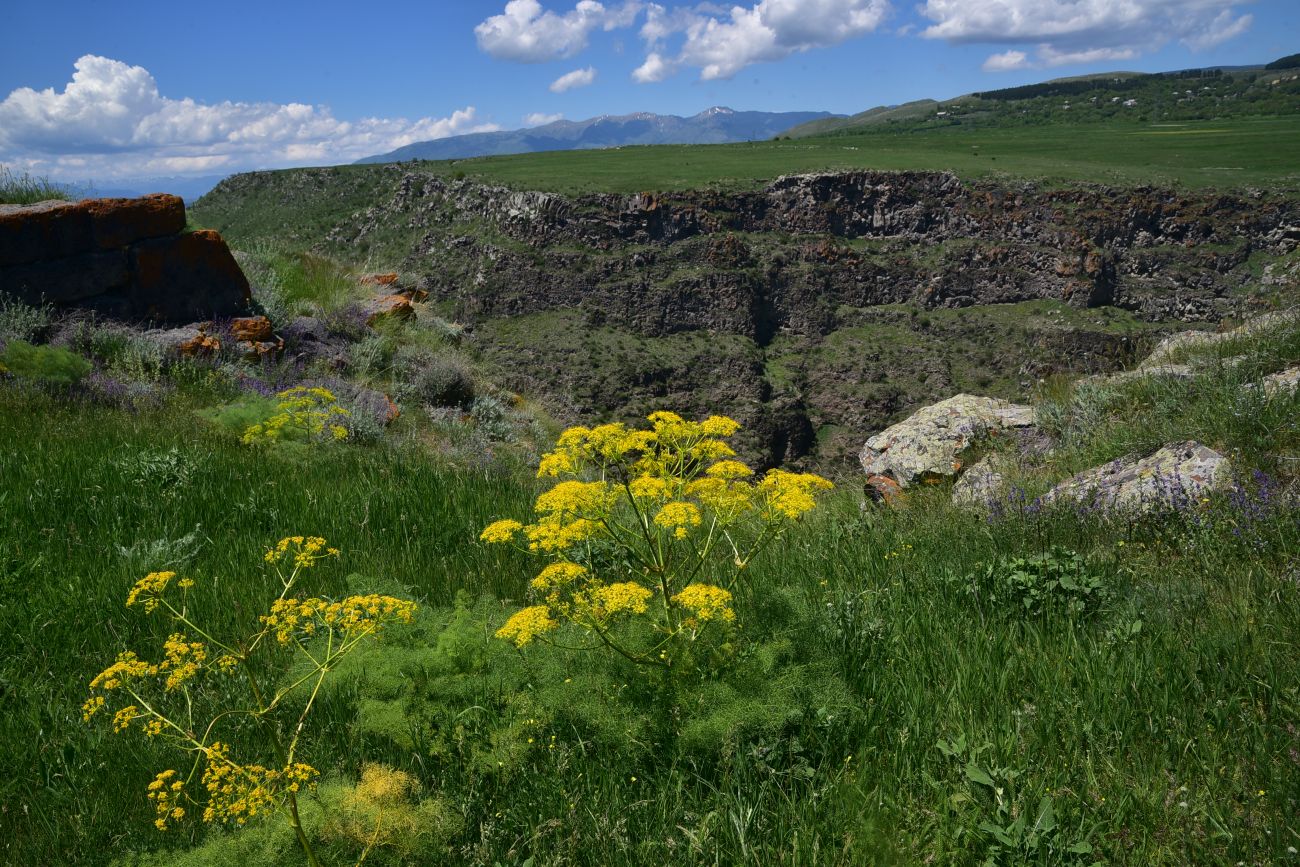 Окрестности села Саро, image of landscape/habitat.