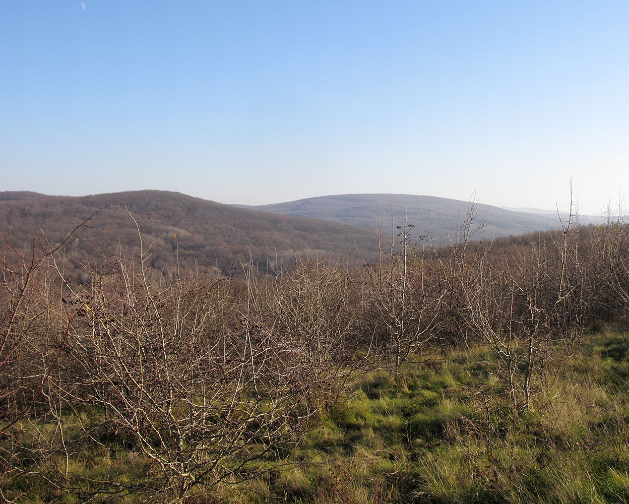 Близ хутора Верхняя Ставрополька, image of landscape/habitat.