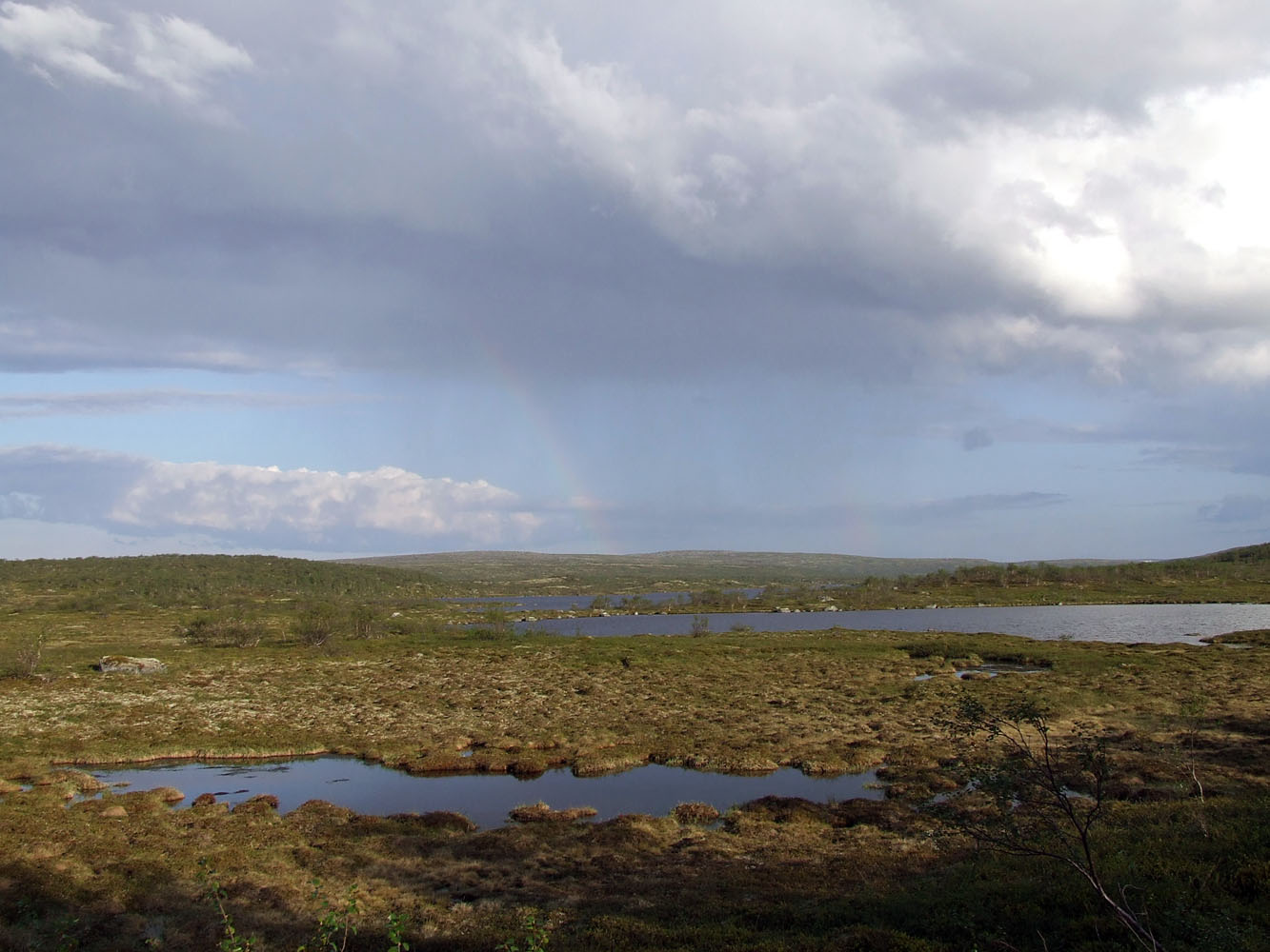 Туманный, image of landscape/habitat.