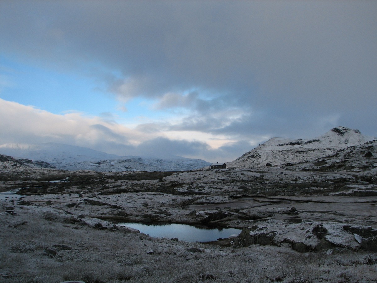 Finse, image of landscape/habitat.