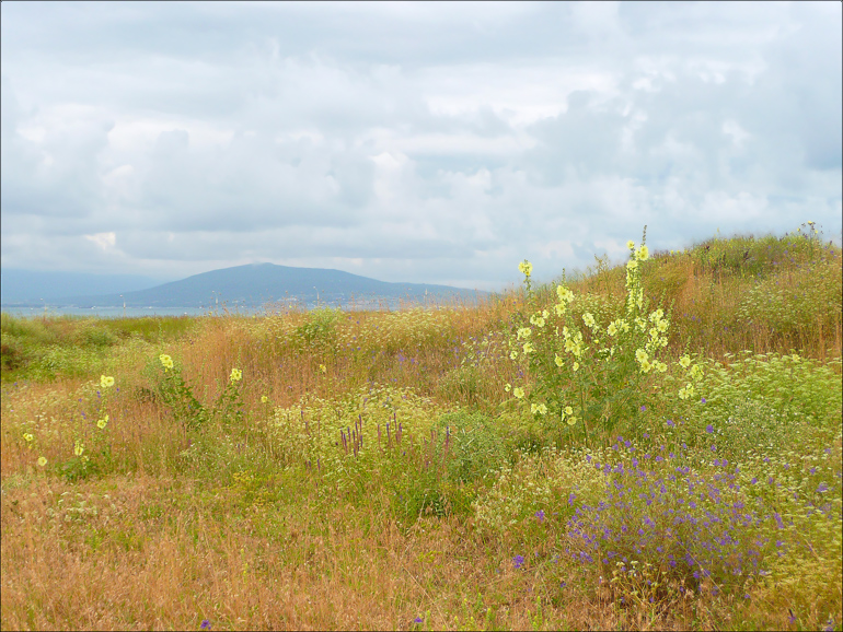 Окрестности Суджукской лагуны, image of landscape/habitat.