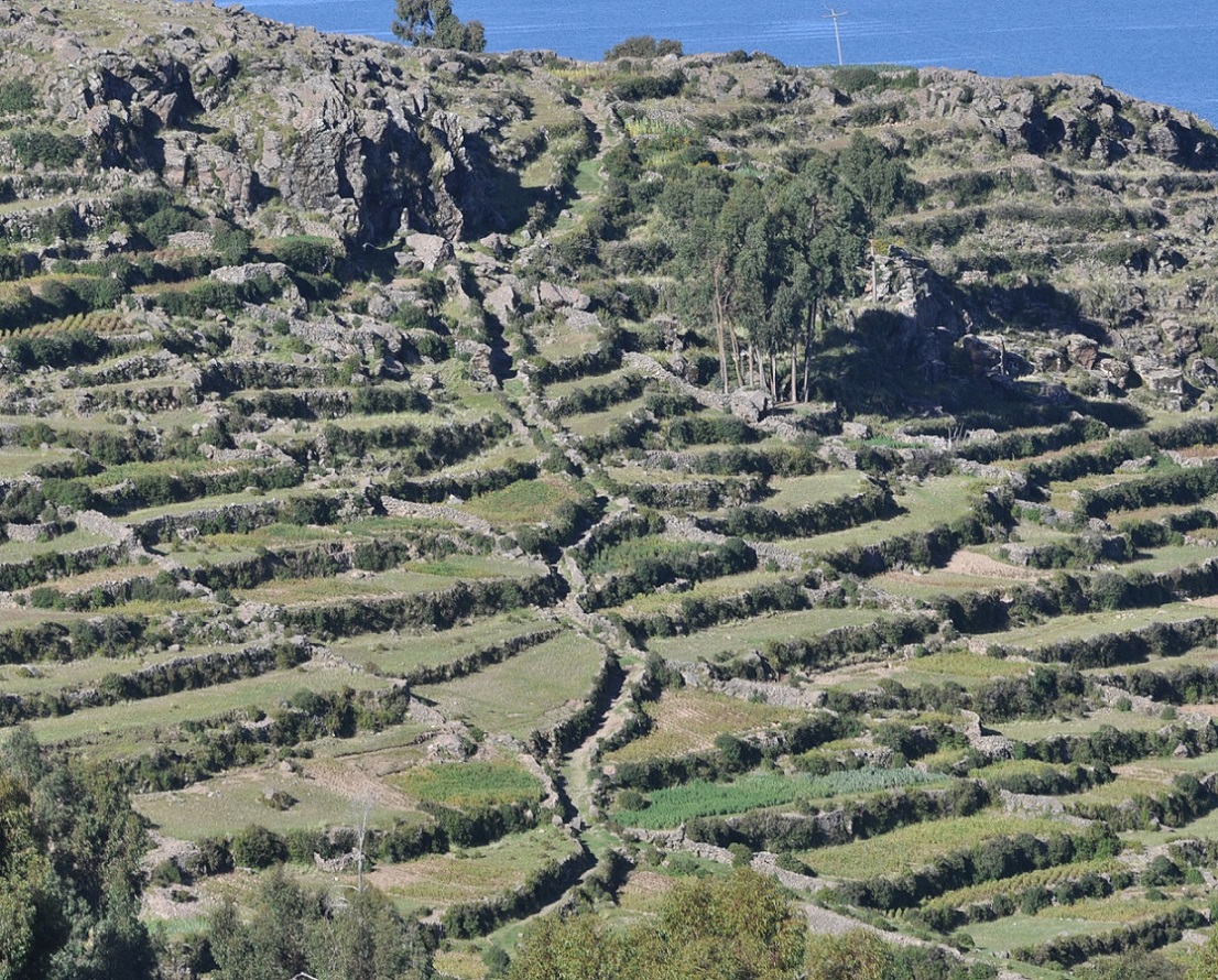 Остров Амантани, image of landscape/habitat.