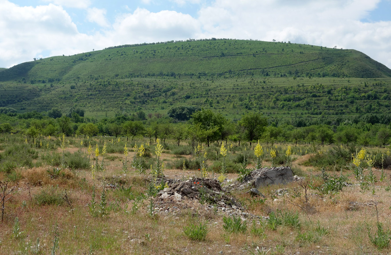 Окрестности Бишкека, предгорье, изображение ландшафта.