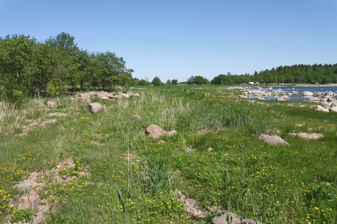 Шепелёвский маяк, image of landscape/habitat.