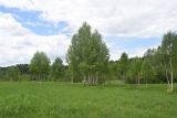 Image of landscape