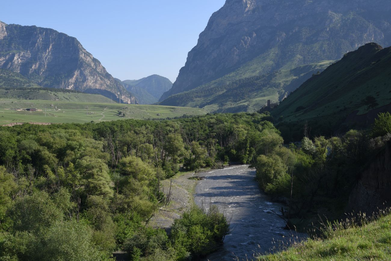 Окрестности урочища Исмаил-Ков, image of landscape/habitat.